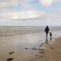 Extraportion Hundeliebe an der Nordsee